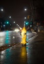 A fire hydrant illuminated by car headlights