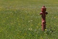 Fire hydrant in a meadow Royalty Free Stock Photo