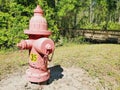 Fire hydrant near forest and bridge