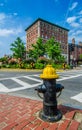 Fire hydrant near the road Royalty Free Stock Photo