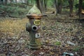 Fire hydrant at the New York City Farm Colony, Staten Island, New York