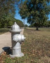 Fire hydrant painted silver Royalty Free Stock Photo