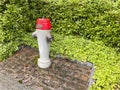 Fire hydrant in the park Royalty Free Stock Photo