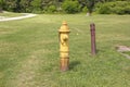 Fire hydrant in a park Royalty Free Stock Photo