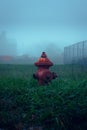 A bright orange fire hydrant stands out against the foggy background of green grass