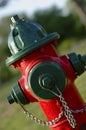 Fire Hydrant - Red and Green Royalty Free Stock Photo