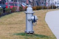 Fire hydrant silver color paint outdoors in a park, sunny day Royalty Free Stock Photo