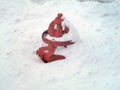 Fire Hydrant with Snow Royalty Free Stock Photo