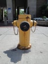 Fire Hydrant in Toronto, Canada