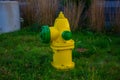 Fire hydrant in United States Royalty Free Stock Photo