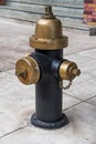 Fire hydrant vintage style Royalty Free Stock Photo