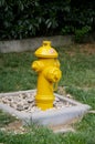 A fire hydrant