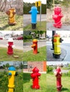 Fire Hydrants collage montage collection