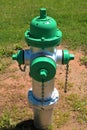 Fire Hydrants Royalty Free Stock Photo