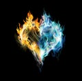 Fire-ice Heart