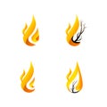 Simple Fire Icon with branch