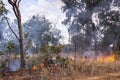 Bush fire which deliberately set as preventive measure against wild forest fire in Kakadu National Park, Australia. in Royalty Free Stock Photo