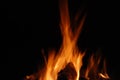 Fire isolated on black Royalty Free Stock Photo