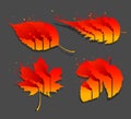 Fire leaf