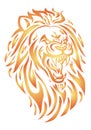 Fire lion head Royalty Free Stock Photo