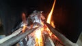 Fire on logs in fire pot with embers and burning coal and blazing flames Royalty Free Stock Photo