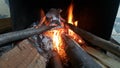 Fire on logs in fire pot with embers and burning coal and blazing flames Royalty Free Stock Photo