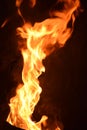 Fire looks like dancing.. Glowing flame scenic burning