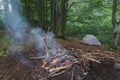 A fire made of damp firewood smokes. Foggy morning in camp of tourists. Gray tourist tent at the edge of the forest Royalty Free Stock Photo