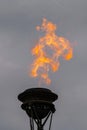 The fire of memory is lit on the rostral columns in St. Petersburg at the celebration of the day of the Russian Navy