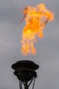 The fire of memory is lit on the rostral columns in St. Petersburg at the celebration of the day of the Russian Navy