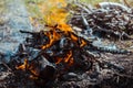The fire on the nature Royalty Free Stock Photo