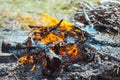 The fire on the nature Royalty Free Stock Photo