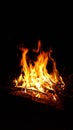 Fire from the fire in nature. sparks from fire. Black background Royalty Free Stock Photo