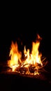 Fire from the fire in nature. sparks from fire. Black background Royalty Free Stock Photo