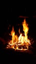 Fire from the fire in nature. sparks from fire. Black background Royalty Free Stock Photo
