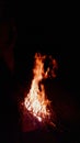 Fire from the fire in nature. sparks from fire. Black background Royalty Free Stock Photo