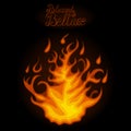 Fire in night. Blessed Beltane