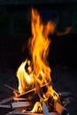 Fire in the night Royalty Free Stock Photo