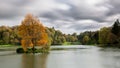 Fire orange tree stands alone on an island in a lake.