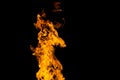 Fire patterns. Flames on a black background. Fiery patterns. Burning flame. Blazing fire. phoenix Royalty Free Stock Photo