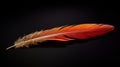 fire phoenix feather