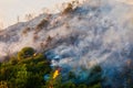 Fire in a pine forest in Kassandra, Royalty Free Stock Photo