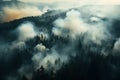 Fire in a pine forest, smoke, natural disaster, arial view