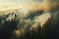 Fire in a pine forest, smoke, natural disaster, arial view