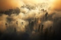 Fire in a pine forest, smoke, natural disaster, arial view