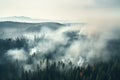 Fire in a pine forest, smoke, natural disaster, arial view