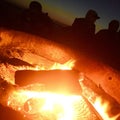 Fire pit beach friends Royalty Free Stock Photo