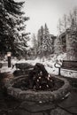 A fire pit outside in the winter surrounded by snow. Royalty Free Stock Photo