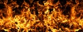 Fire powerful blaze background. Fire burning flame movement. Fire intense heat energy. Fire glowing abstract light. Royalty Free Stock Photo