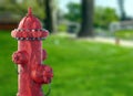 Firefighting public system fire hydrant red color outdoors in forest background. 3d illustration